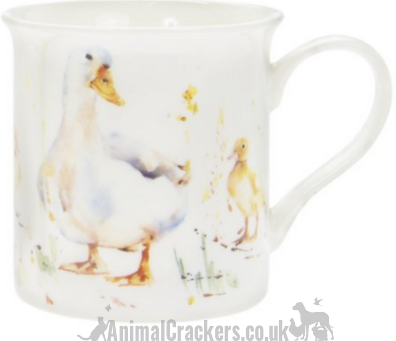 Leonardo Country Life Ducks china Mug & Coaster set, great Duck or Poultry lover gift, in quality gift box