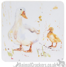 Leonardo Country Life Ducks china Mug & Coaster set, great Duck or Poultry lover gift, in quality gift box