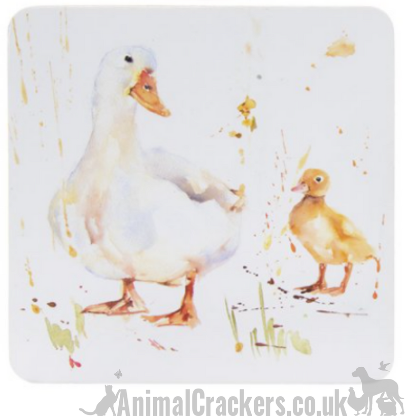Leonardo Country Life Ducks china Mug & Coaster set, great Duck or Poultry lover gift, in quality gift box