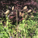 WATCH OUR VIDEO > Robin balance stake, metal robin on branch garden ornament mobile
