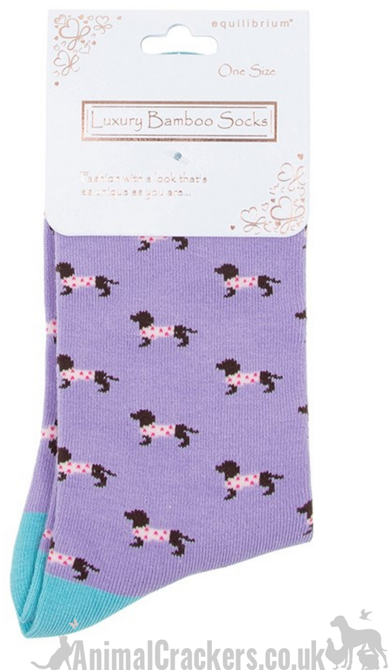 TWO PAIR GIFT SET (Lilac + Blue) Ladies quality Bamboo 'Pooch' Dachshund in spotty coat design socks
