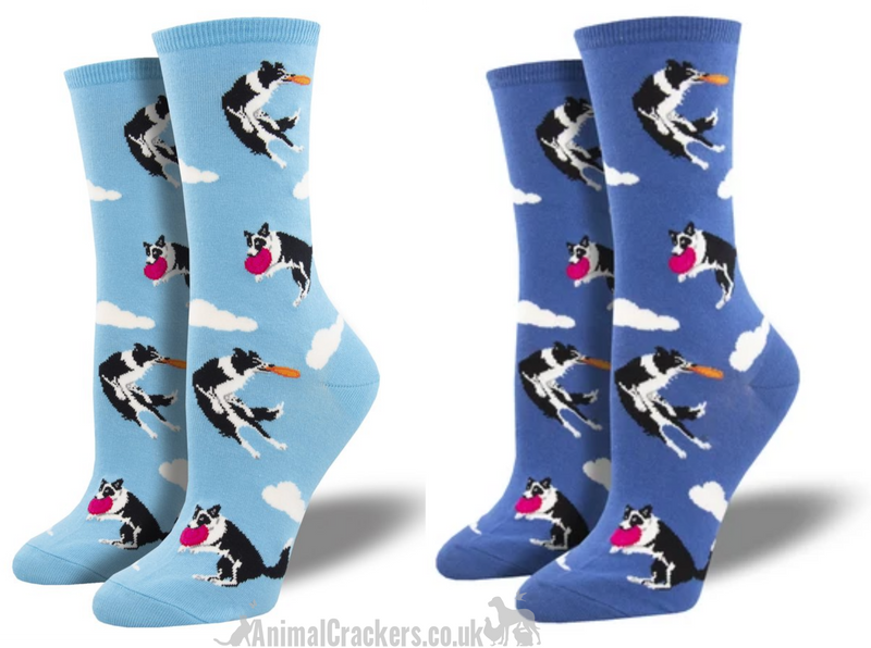 Womens Socksmith 'Catch Your Drift' socks Border Collie catching frisbee design, quality Dog lover gift