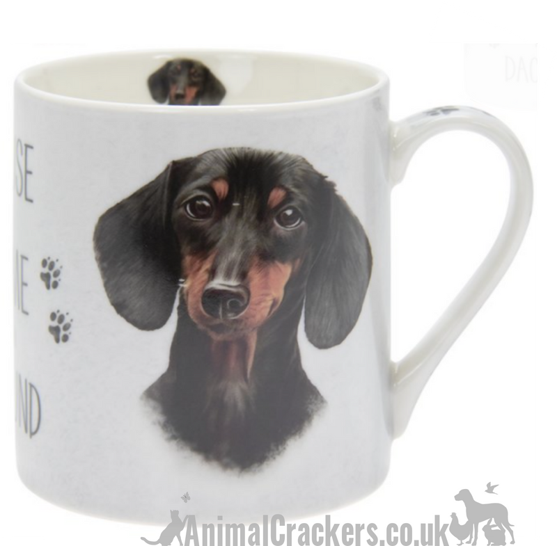'A House is Not a Home Without a Dachshund' design china Mug by Leonardo, in presentation gift box