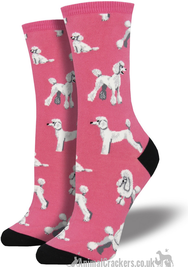 Womens Socksmith 'Oodles of Poodles' design socks in choice of colours (Pink or Blue), One Size