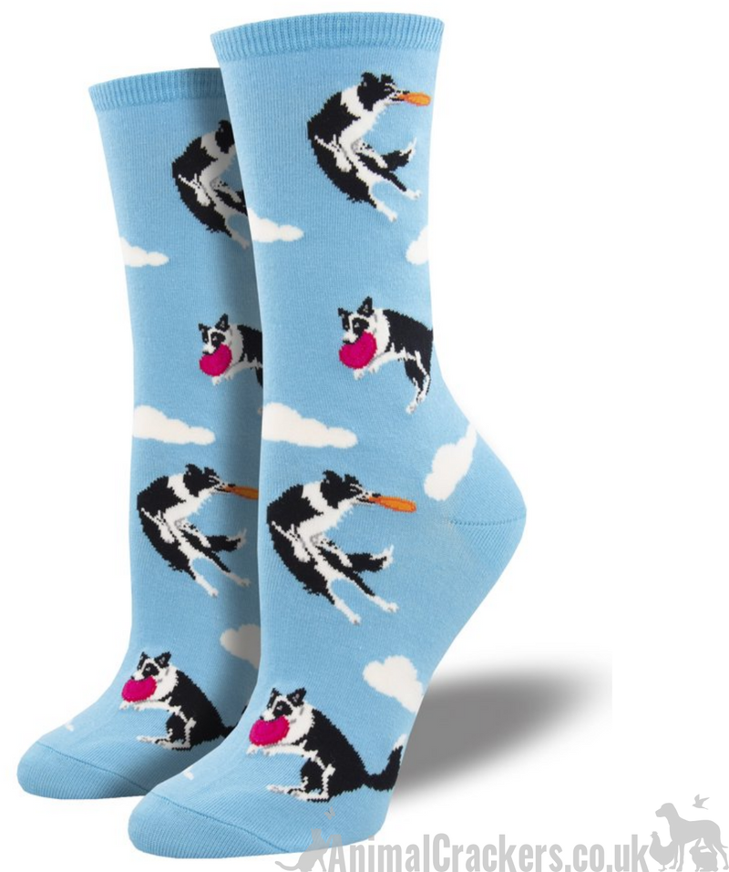 Womens Socksmith 'Catch Your Drift' socks Border Collie catching frisbee design, quality Dog lover gift