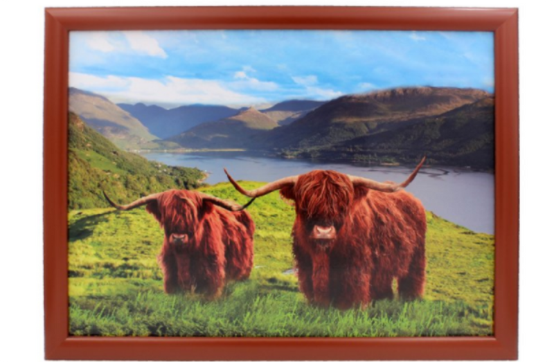 Leonardo 'Highland Cow & Calf' padded Lap Tray bean bag Cushion, Cattle lover gift, matching items available