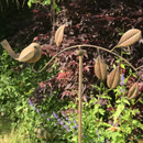 WATCH OUR VIDEO > Robin balance stake, metal robin on branch garden ornament mobile
