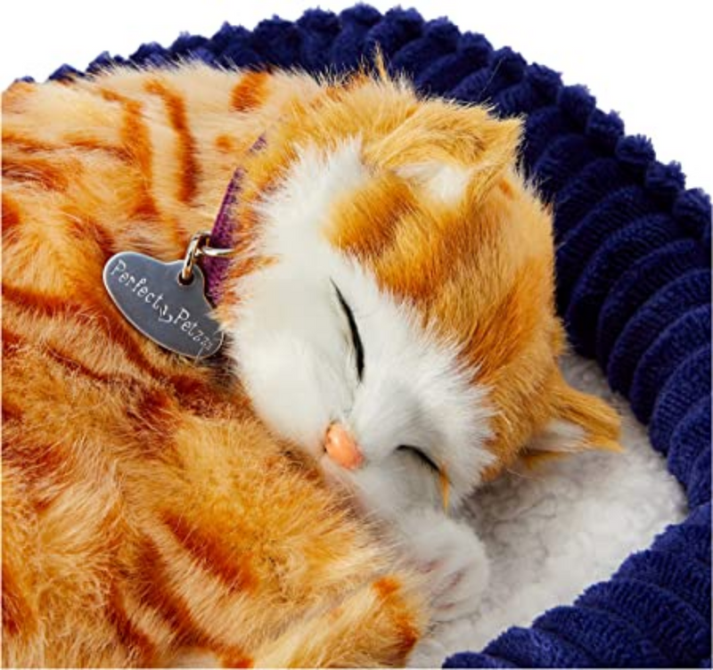 Precious Petzzz 'breathing' Ginger Kitten soft toy in pet bed