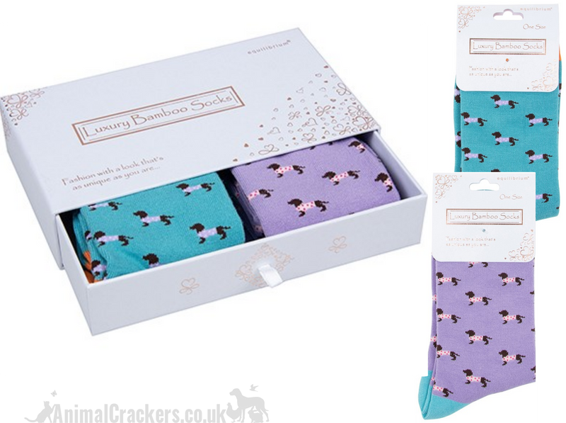 TWO PAIR GIFT SET (Lilac + Blue) Ladies quality Bamboo 'Pooch' Dachshund in spotty coat design socks