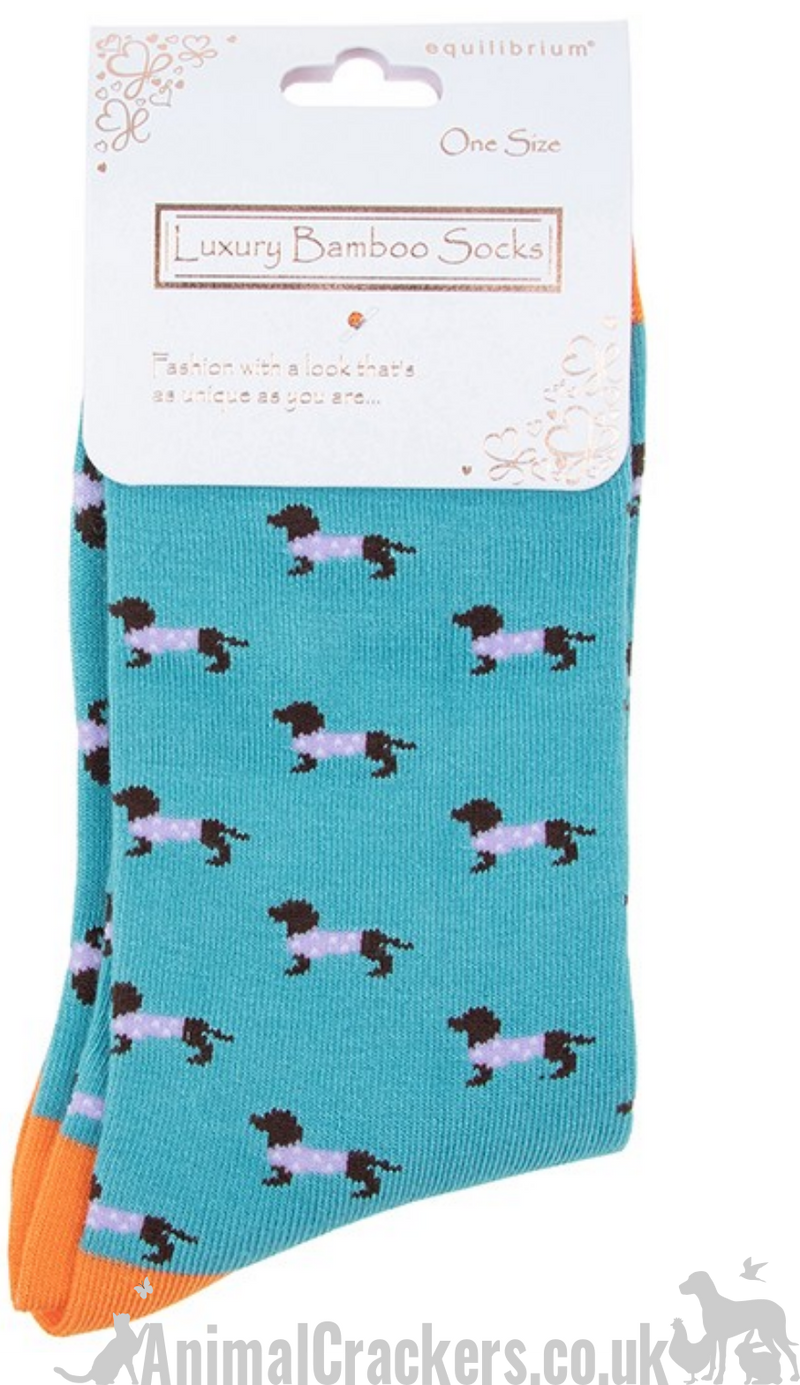 TWO PAIR GIFT SET (Lilac + Blue) Ladies quality Bamboo 'Pooch' Dachshund in spotty coat design socks