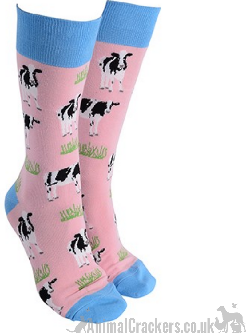 Novelty Friesian Cow design socks from 'Sock Society' Men or Women, One Size, great cow lover gift stocking filler