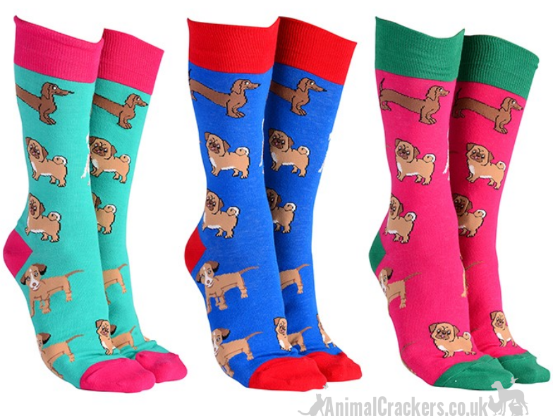 Mens or Ladies Mixed Dog Breeds design (Pug, Dachshund, Jack Russell Terrier) socks, great novelty DOG lover gift stocking filler