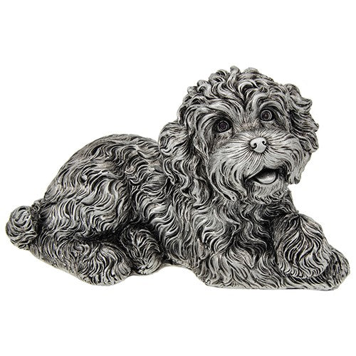 Large Silver effect lying Cockapoo