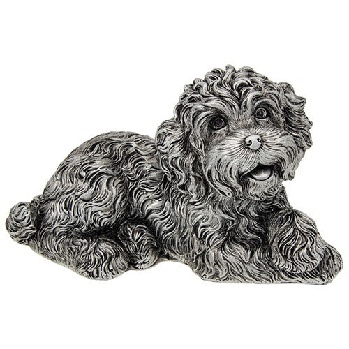 Large Silver effect lying Cockapoo