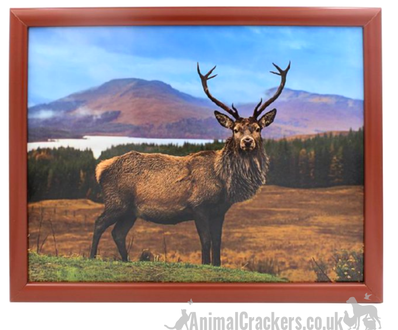 Leonardo Stag padded Lap Tray Cushion, great Stag & Deer lover gift