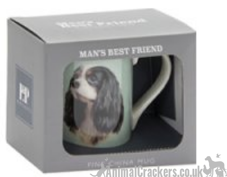 'A House is Not a Home Without a Cavalier King Charles Spaniel' design china Mug by Leonardo, in presentation gift box