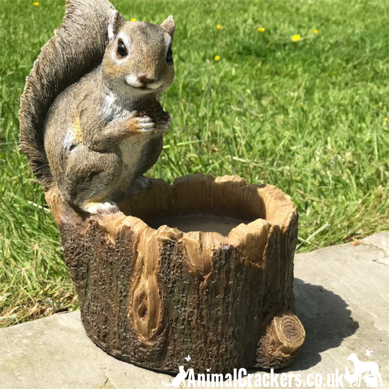 Squirrel on Tree trunk, novelty nut feeder or garden decoration, a great Squirrel lover gift