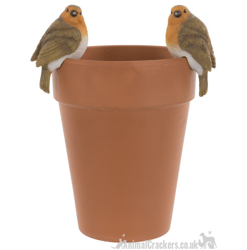 SET of 2 Robin flower pot hangers, novelty garden ornament bird lover gift