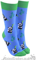 Novelty Panda design socks, Men or Women, One Size, wildlife lover gift
