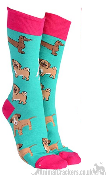 Mens or Ladies Mixed Dog Breeds design (Pug, Dachshund, Jack Russell Terrier) socks, great novelty DOG lover gift stocking filler