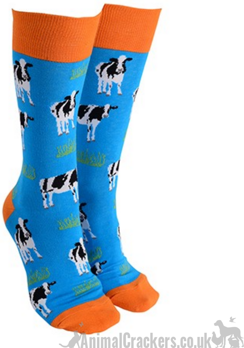 Novelty Friesian Cow design socks from 'Sock Society' Men or Women, One Size, great cow lover gift stocking filler