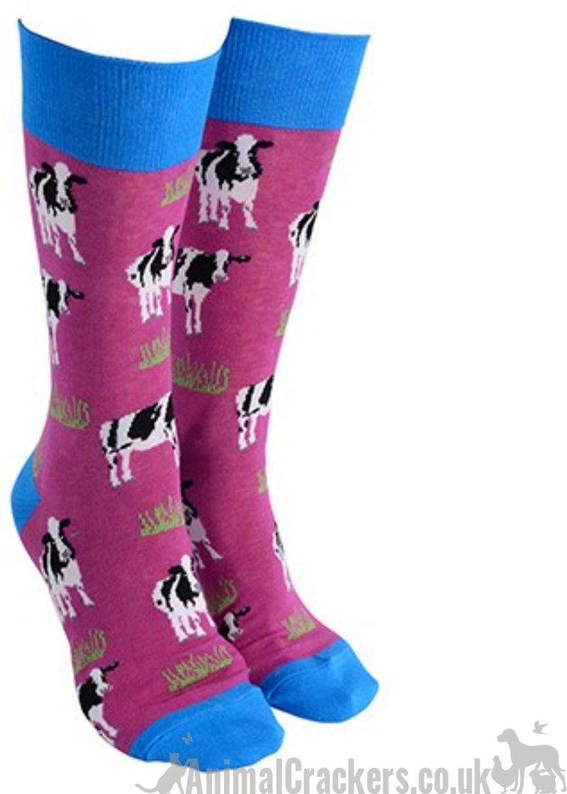 Novelty Friesian Cow design socks from 'Sock Society' Men or Women, One Size, great cow lover gift stocking filler