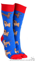 Mens or Ladies Mixed Dog Breeds design (Pug, Dachshund, Jack Russell Terrier) socks, great novelty DOG lover gift stocking filler