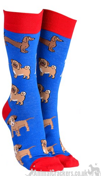 Mens or Ladies Mixed Dog Breeds design (Pug, Dachshund, Jack Russell Terrier) socks, great novelty DOG lover gift stocking filler