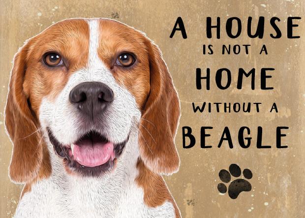 20cm metal 'A House is not a Home without a Beagle' hanging sign Dog lover gift stocking filler