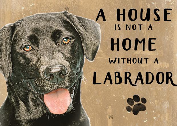 20cm metal Black Labrador 'A House is not a Home without a Labrador' hanging sign Dog lover gift