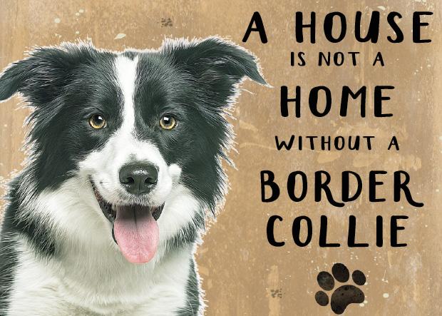 20cm metal 'A House is not a Home without a Border Collie' hanging sign novelty Dog lover gift