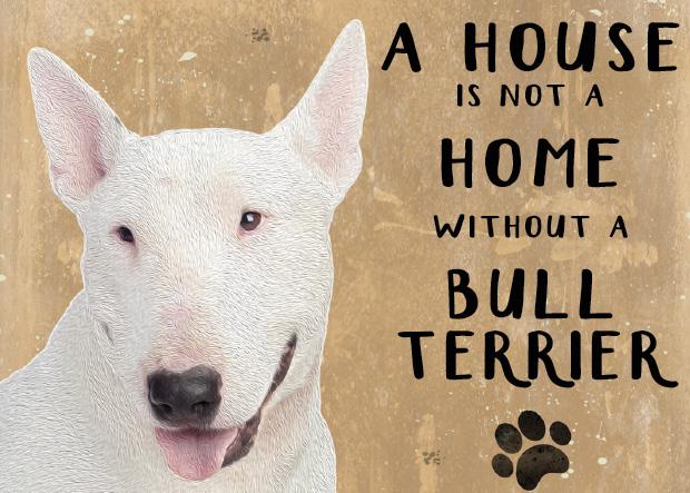 20cm metal 'A House is not a Home without a Bull Terrier' hanging sign novelty Dog lover gift