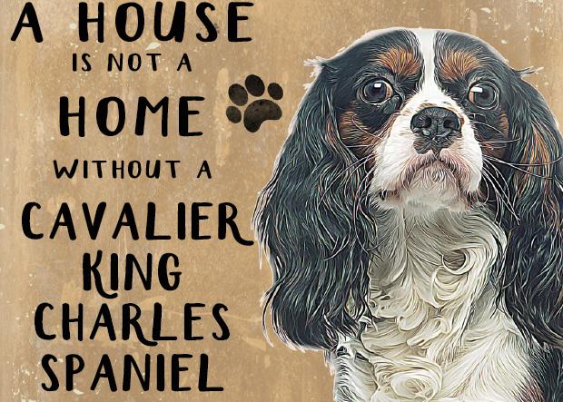 20cm metal 'A House is not a Home without a King Charles Spaniel' hanging sign Spaniel lover gift