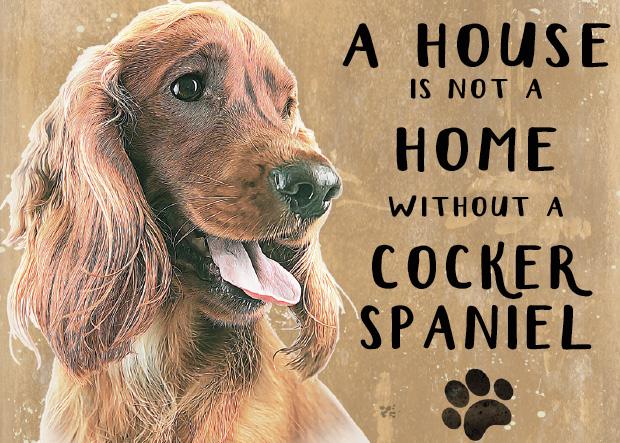 20cm metal Tan Cocker Spaniel 'A House is not a Home without a Cocker Spaniel' hanging sign Spaniel lover