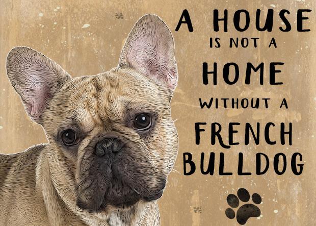 20cm metal 'A House is not a Home without a French Bulldog' hanging sign Frenchie lover gift