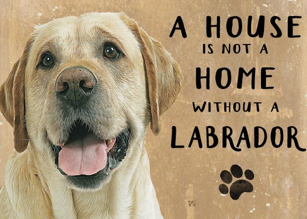 20cm metal Golden Labrador 'A House is not a Home' hanging sign Dog lover gift