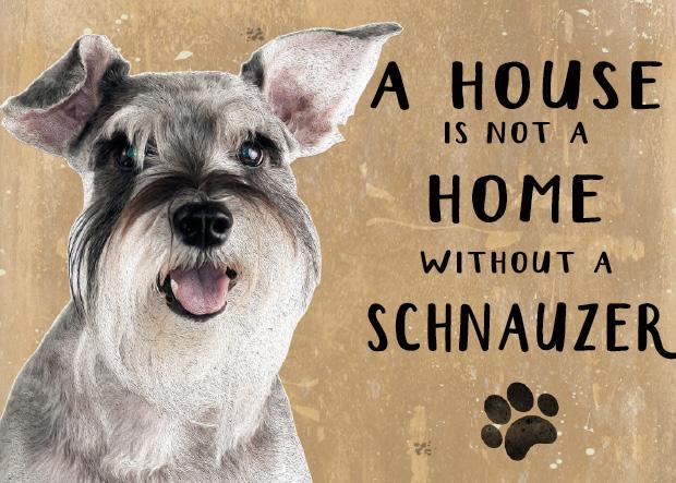20cm metal 'A House is not a Home without a Schnauzer' sign novelty Dog lover gift