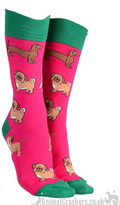 Mens or Ladies Mixed Dog Breeds design (Pug, Dachshund, Jack Russell Terrier) socks, great novelty DOG lover gift stocking filler