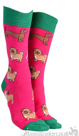 Mens or Ladies Mixed Dog Breeds design (Pug, Dachshund, Jack Russell Terrier) socks, great novelty DOG lover gift stocking filler