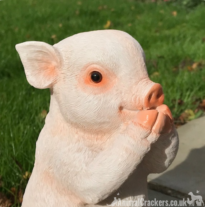 Cute Pig with removable 'Just Going Wee Wee Wee All The Way Home' sign, great novelty garden ornament and Pig lover gift