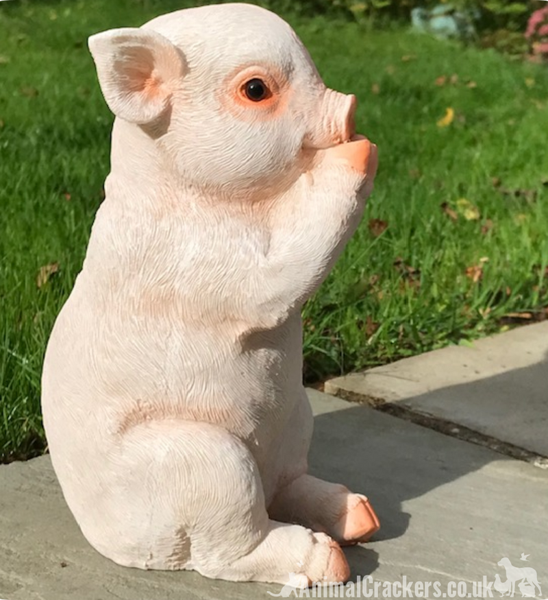 Cute Pig with removable 'Just Going Wee Wee Wee All The Way Home' sign, great novelty garden ornament and Pig lover gift