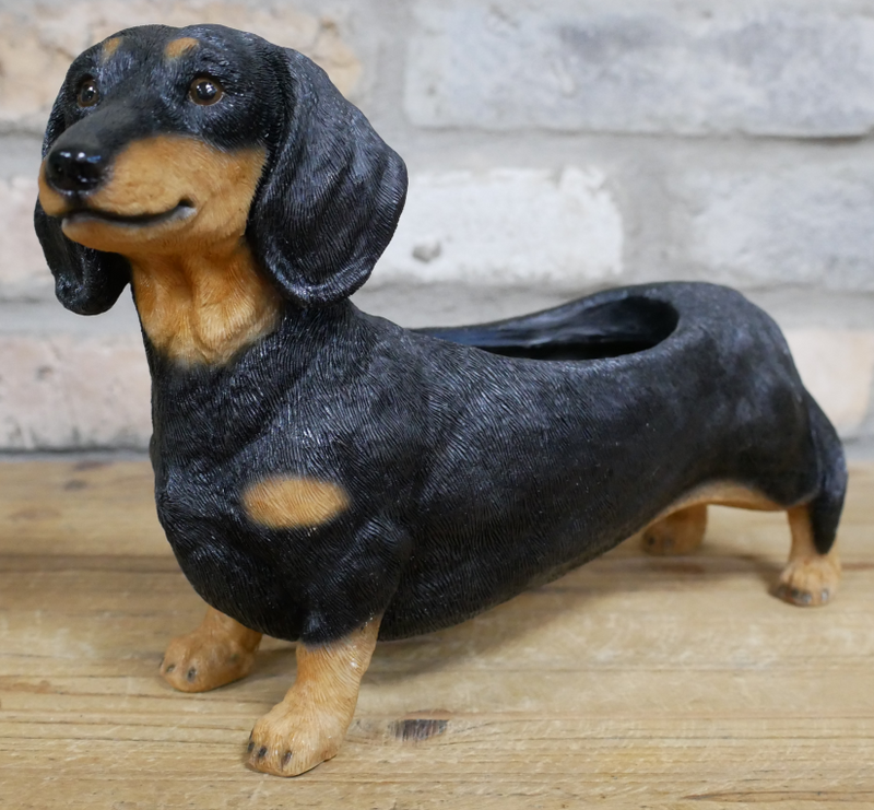 Dachshund shaped resin indoor or garden patio plant or herb planter ornament, novelty Sausage Dog lover gift