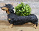Dachshund shaped resin indoor or garden patio plant or herb planter ornament, novelty Sausage Dog lover gift