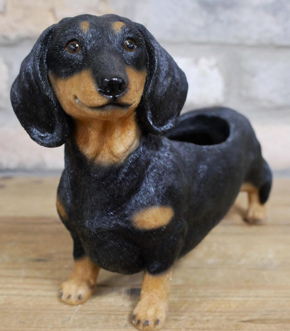 Dachshund shaped resin indoor or garden patio plant or herb planter ornament, novelty Sausage Dog lover gift