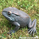 Set of 2 aged bronze effect Frog ornaments, quirky garden pond decoration