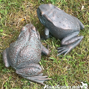Set of 2 aged bronze effect Frog ornaments, quirky garden pond decoration