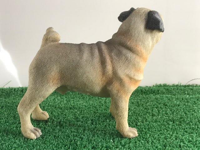 Beige standing Pug ornament quality realistic figurine Leonardo range Gift boxed