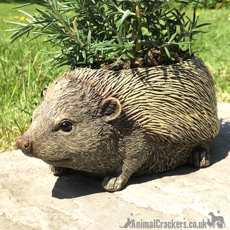 Hedgehog shaped Planter novelty house or garden decoration, quirky Hog lover gift