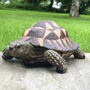 Vivid Arts large (32cm) heavy weight extremely realistic Tortoise, indoor or garden ornament