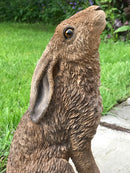 Vivid Arts Realistic Moongazing Hare ornament, large 35cm high great quality lifelike figurine
